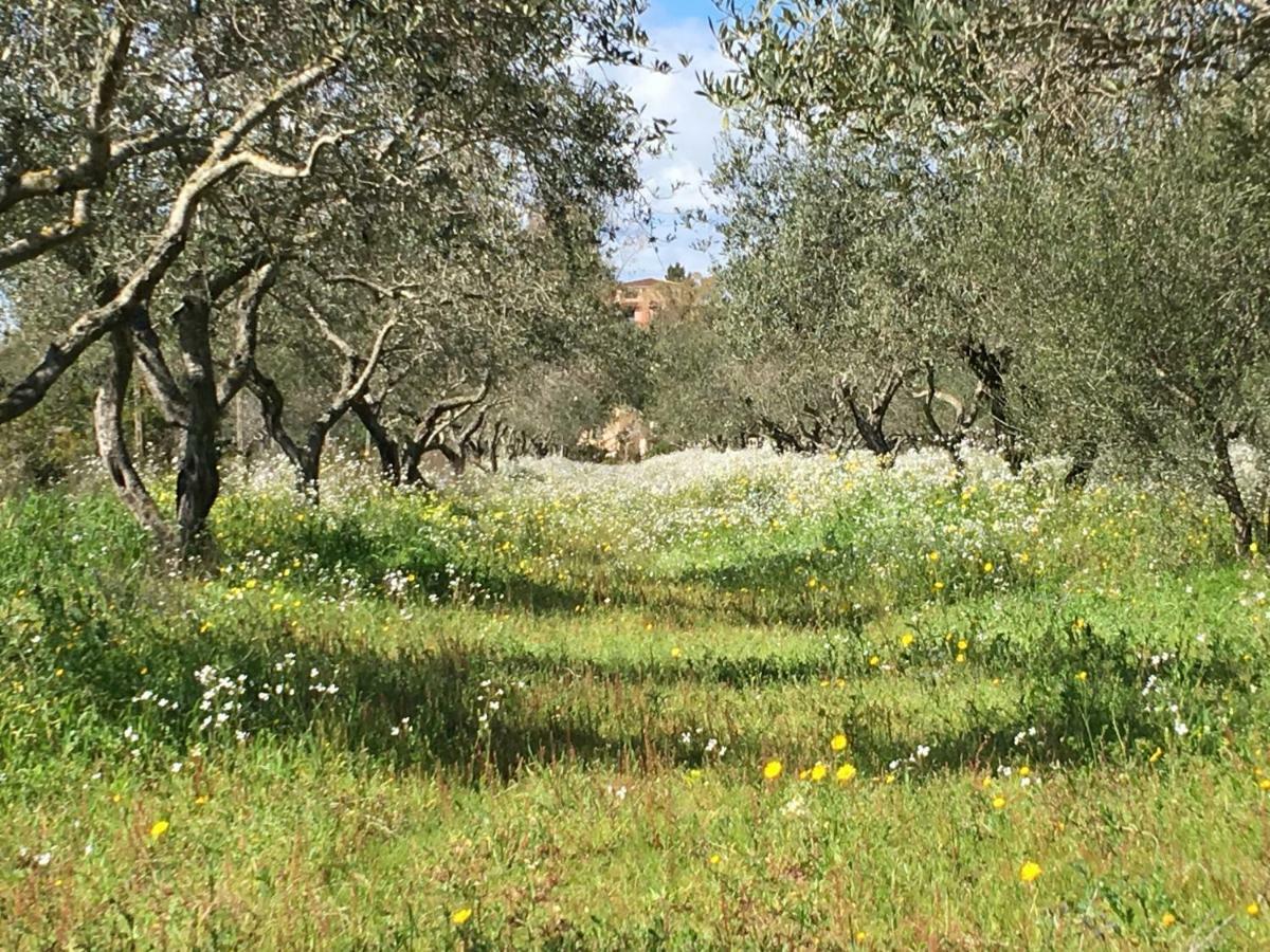 Mimosa Bilocale Cala Liberotto Kültér fotó