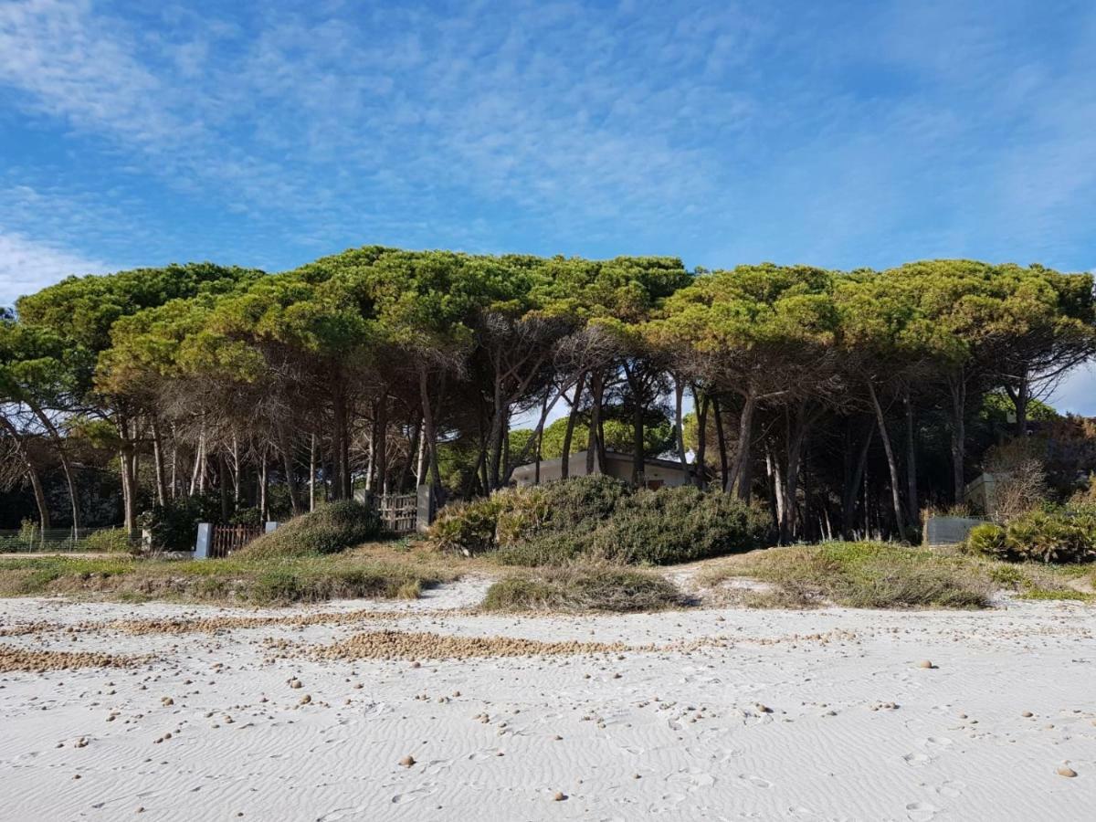 Mimosa Bilocale Cala Liberotto Kültér fotó