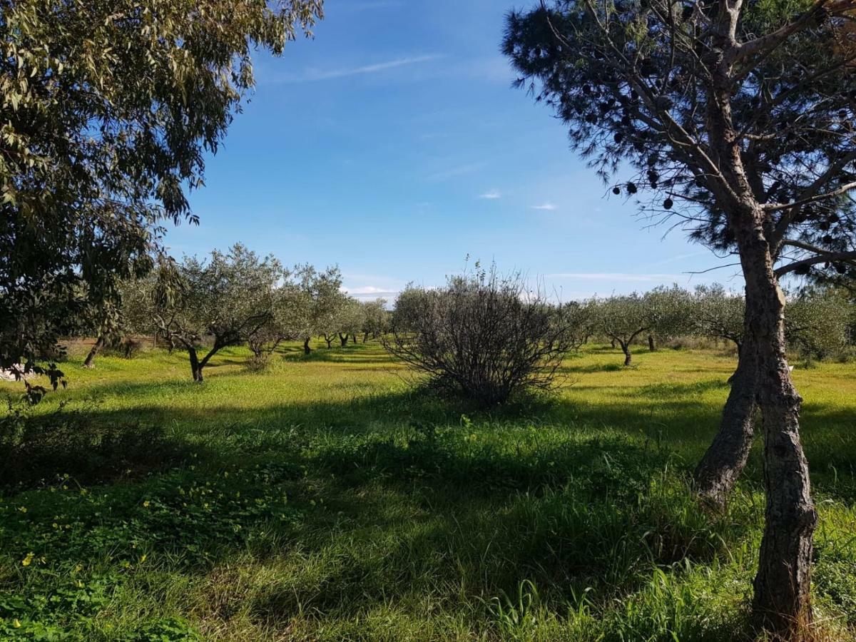 Mimosa Bilocale Cala Liberotto Kültér fotó