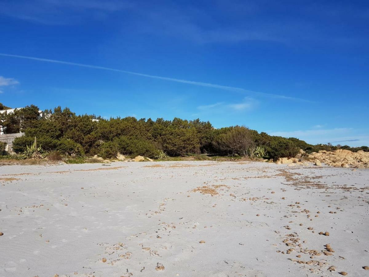 Mimosa Bilocale Cala Liberotto Kültér fotó