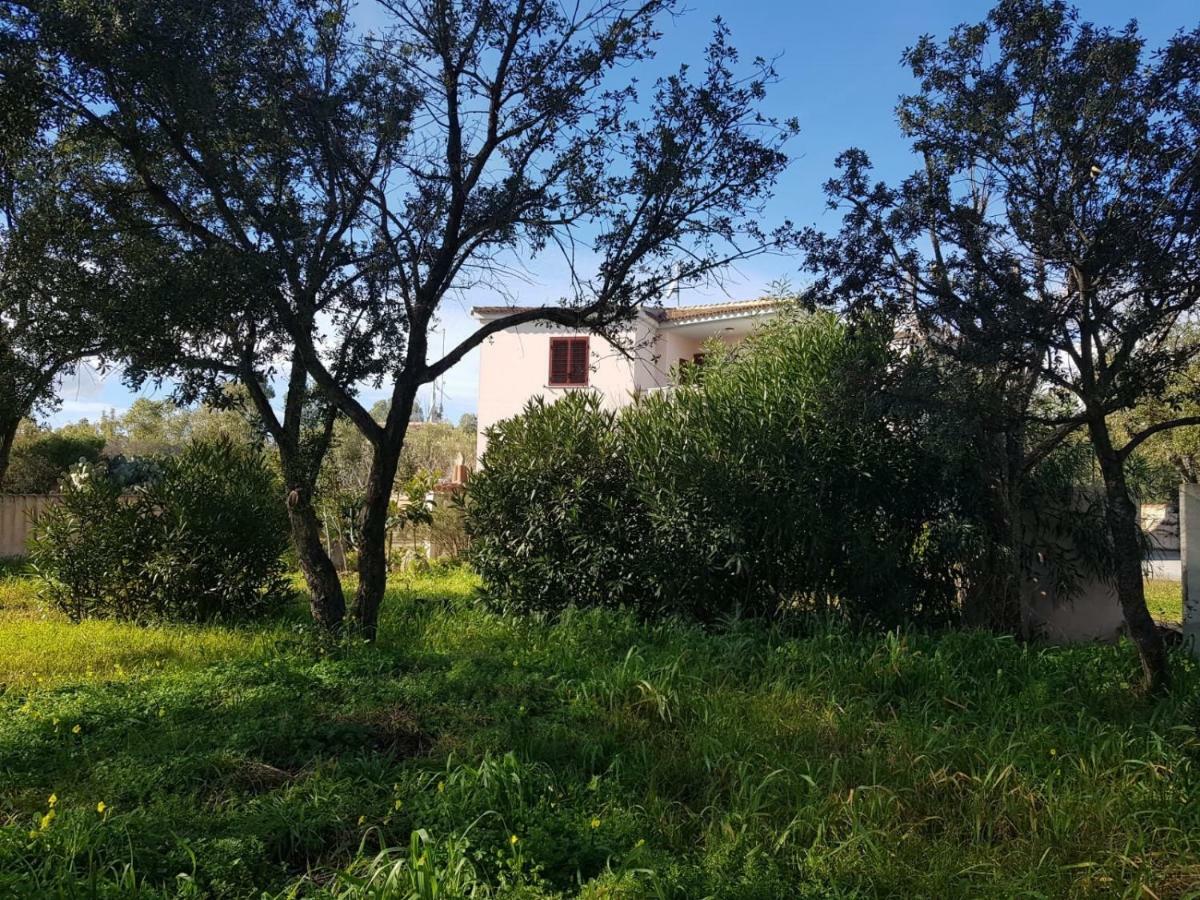 Mimosa Bilocale Cala Liberotto Kültér fotó