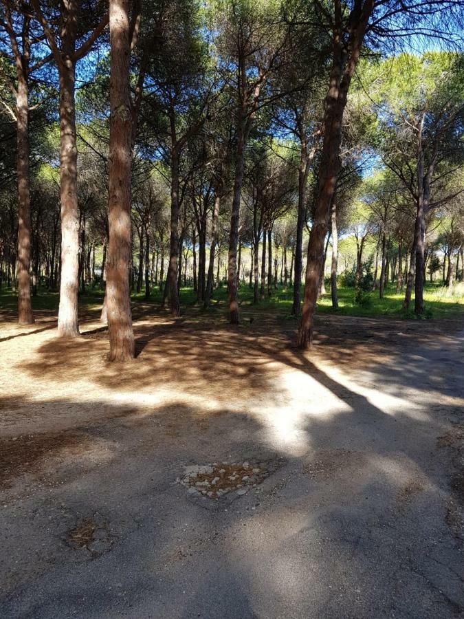 Mimosa Bilocale Cala Liberotto Kültér fotó