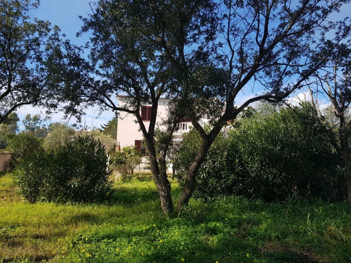 Mimosa Bilocale Cala Liberotto Kültér fotó