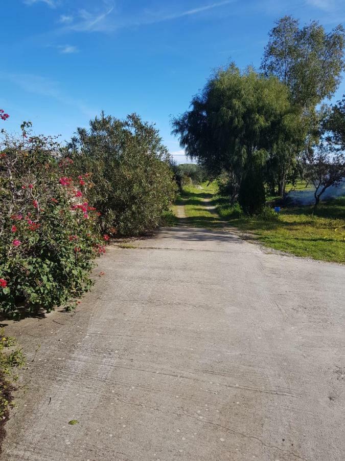 Mimosa Bilocale Cala Liberotto Kültér fotó